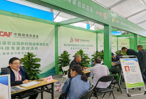 第三十屆中國楊凌農業(yè)高新科技成果博覽會開幕，聚焦前沿技術與創(chuàng)新咨詢